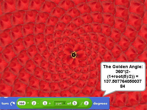 Fibonacci Flower