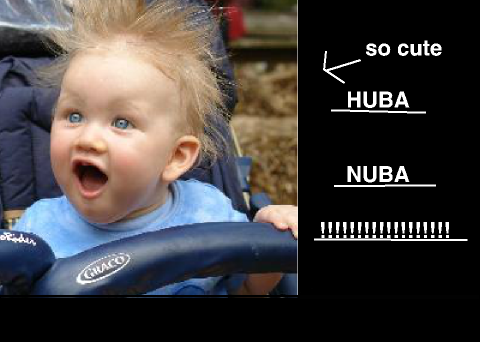 Laugh all day