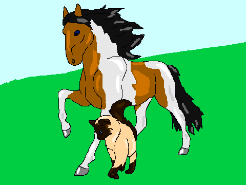 Horse and Cat Coloring Contest Entry
