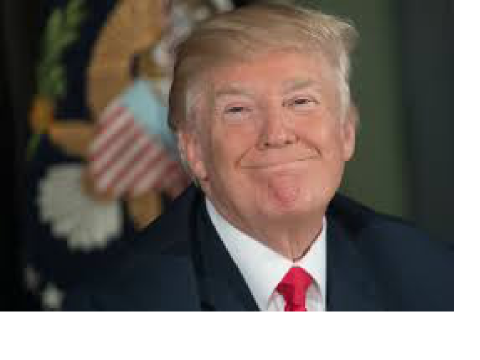Do you want to build a wall? I certainly don't!