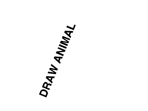 Animals of the Clans RP Bio Templete