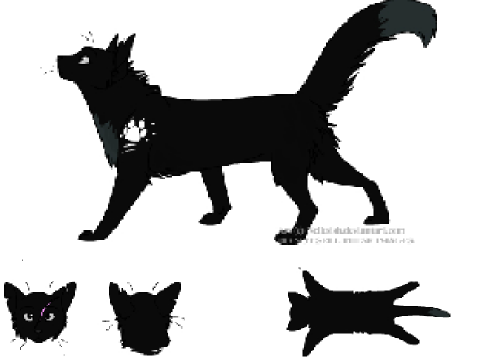 Shadow from RuneClan