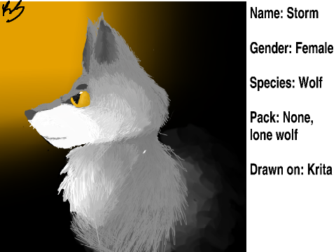 My OCs