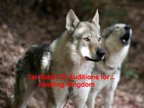 Auditions For Howling Kingdom 1st Batch remix