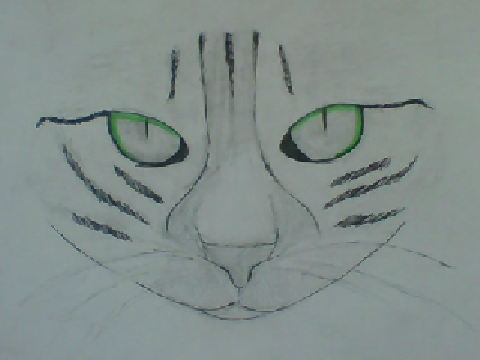 I drew a cats face (=^+^=)