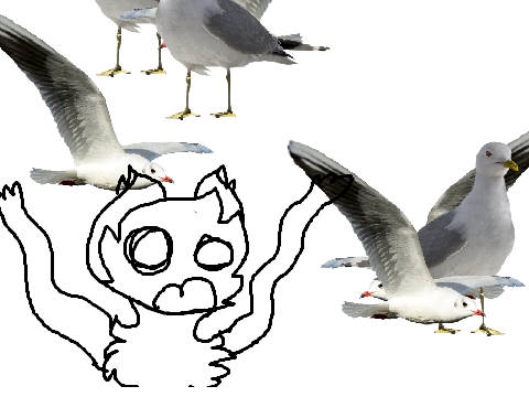 { + SEAGULLS + } Meme