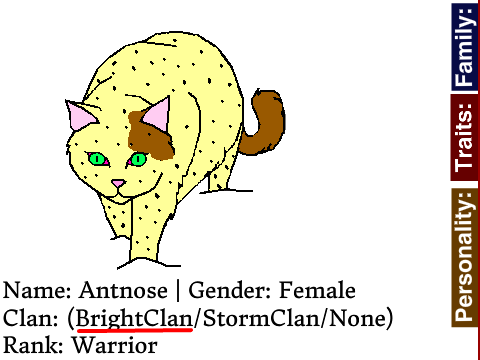 Adult Cat Bio: Antnose of BrightClan