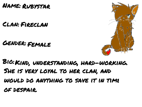 Rubystar, Leader of Fireclan