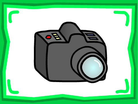 Photography Collection