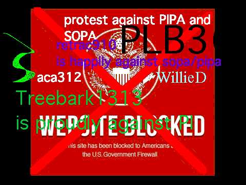PROTEST_SOPA/PIPA![1]