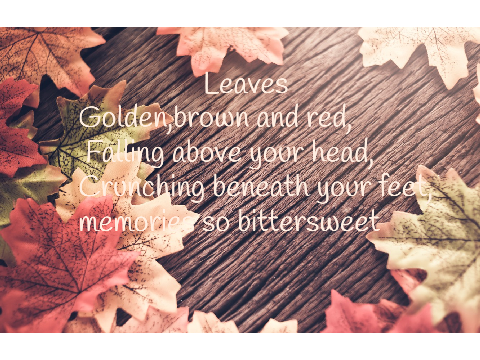 Leaves 