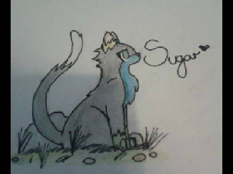 Art Swap with xXPine-CutieXx