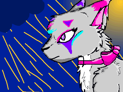 Coloring contest~ 3 Entry