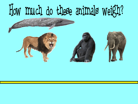 Weigh The Animals