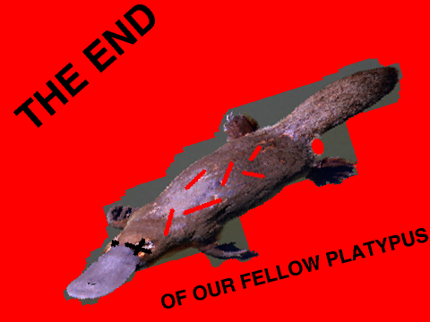 Save The NT Platypus!!!