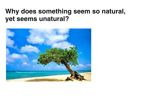 Why? How? What?