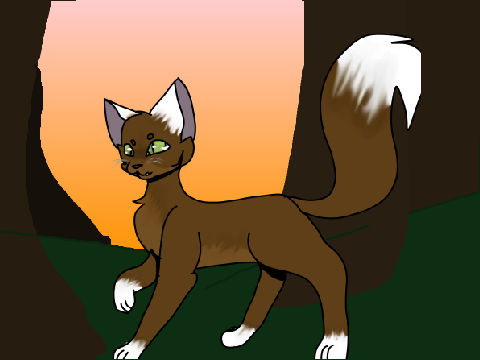 CrookedPaw/CrookedFace warrior cat oc