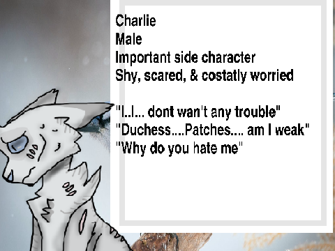 Audition for Patches and Charlie