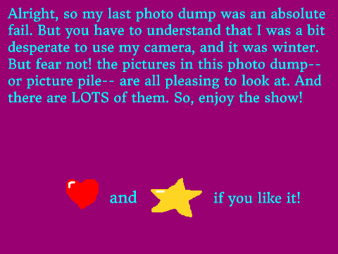 Picture Pile