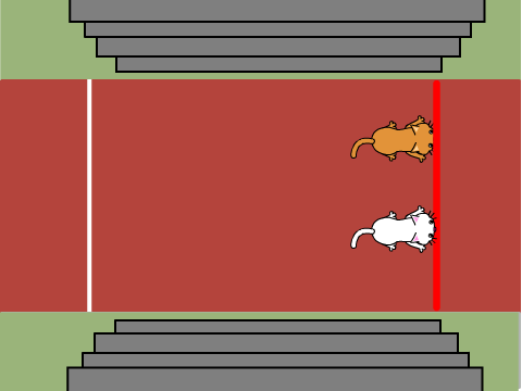 Race Against the Computer