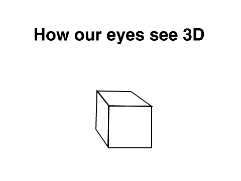 How Our Eyes See 3D