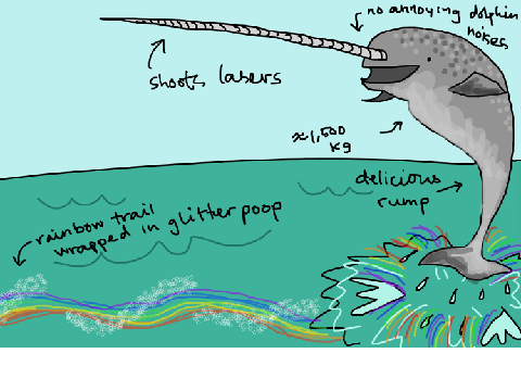 Narwhal Facts