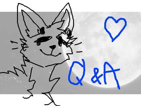 q&a
