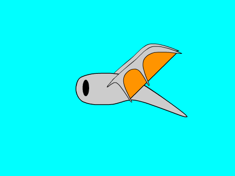 Caelum