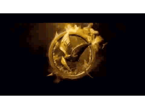 Just to prove I like the hunger games.