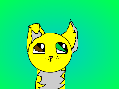 cat+dog thing