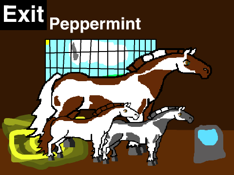 My Horses