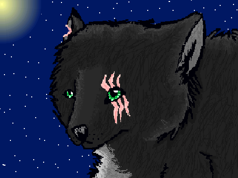 RavenFur's Theme