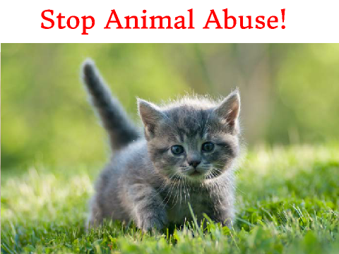 Stop Animal Abuse!
