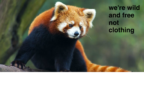 Animals are wild and free not clothing