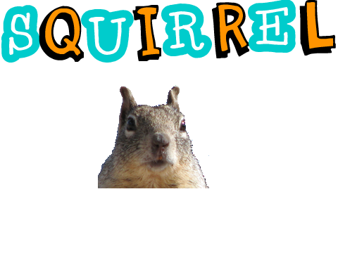 Squirrel Attack