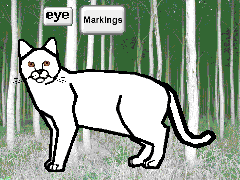 Create a Cat!