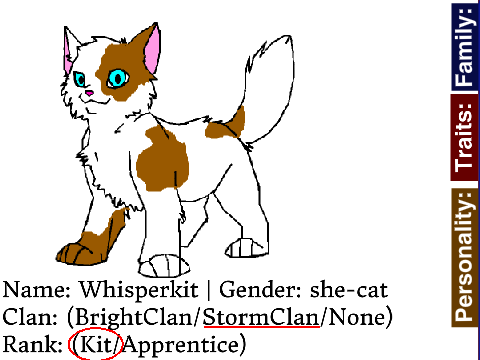 Kitten Bio: Whisperkit of StormClan