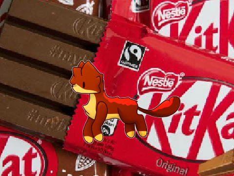 AR for @KitKatAFineCat