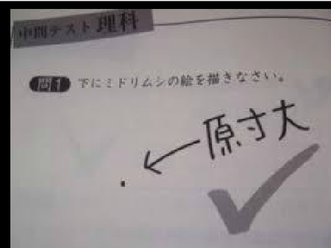 テスト珍回答集