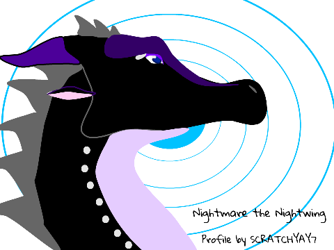 NightmareDeNightwing's profile contest entry