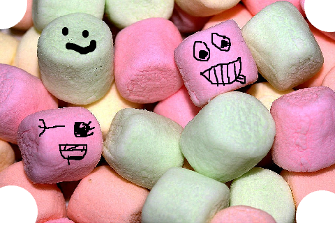 have your own marshmallow!