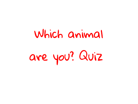 Which animal are you? Quiz