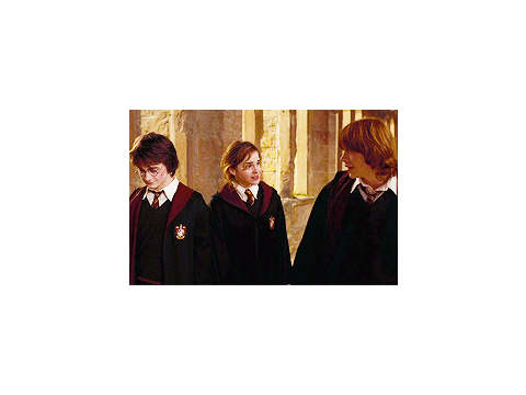 gif of harry potter