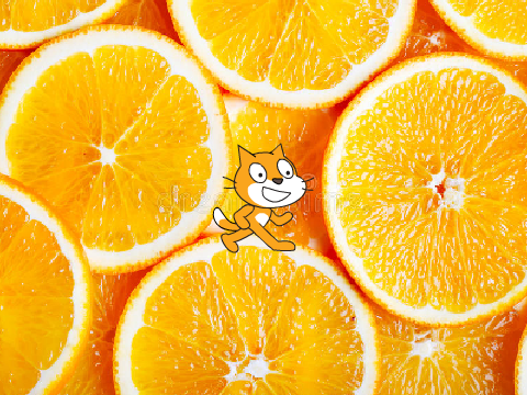 The World Of Oranges