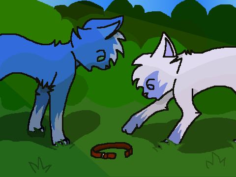 -Curiosity- (Coloring Contest Entry)