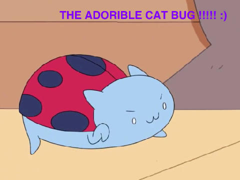 the amazing cat bug :)