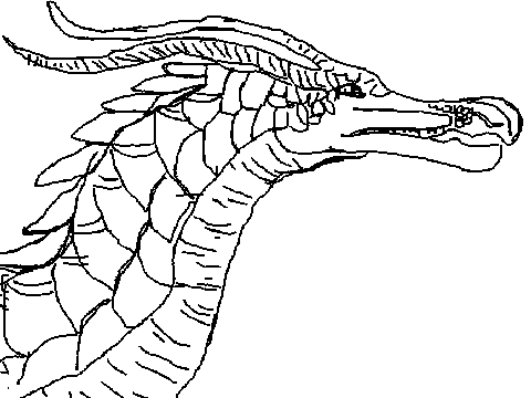 Dragon CC contest