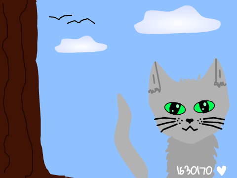 Kitten Speed Draw