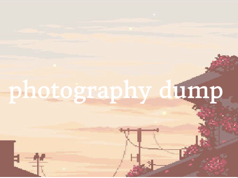 ✧ photography dump✧ 