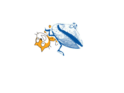 Cats N' Clams